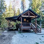 Tall Pines A Cozy 1 Bedroom Tiny Cabin
