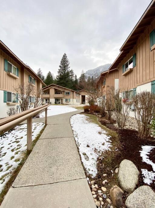 Apartment Walk To Downtown * Sleeps 6 + Pets * Ground Level Gem!