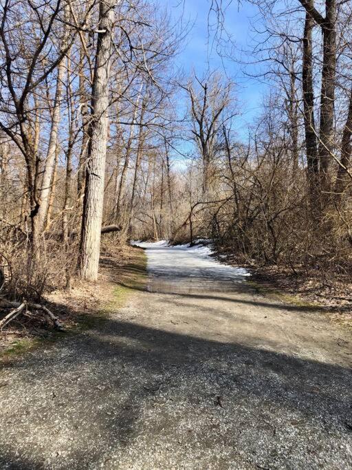 Walk To Downtown * Sleeps 6 + Pets * Ground Level Gem! Apartment *