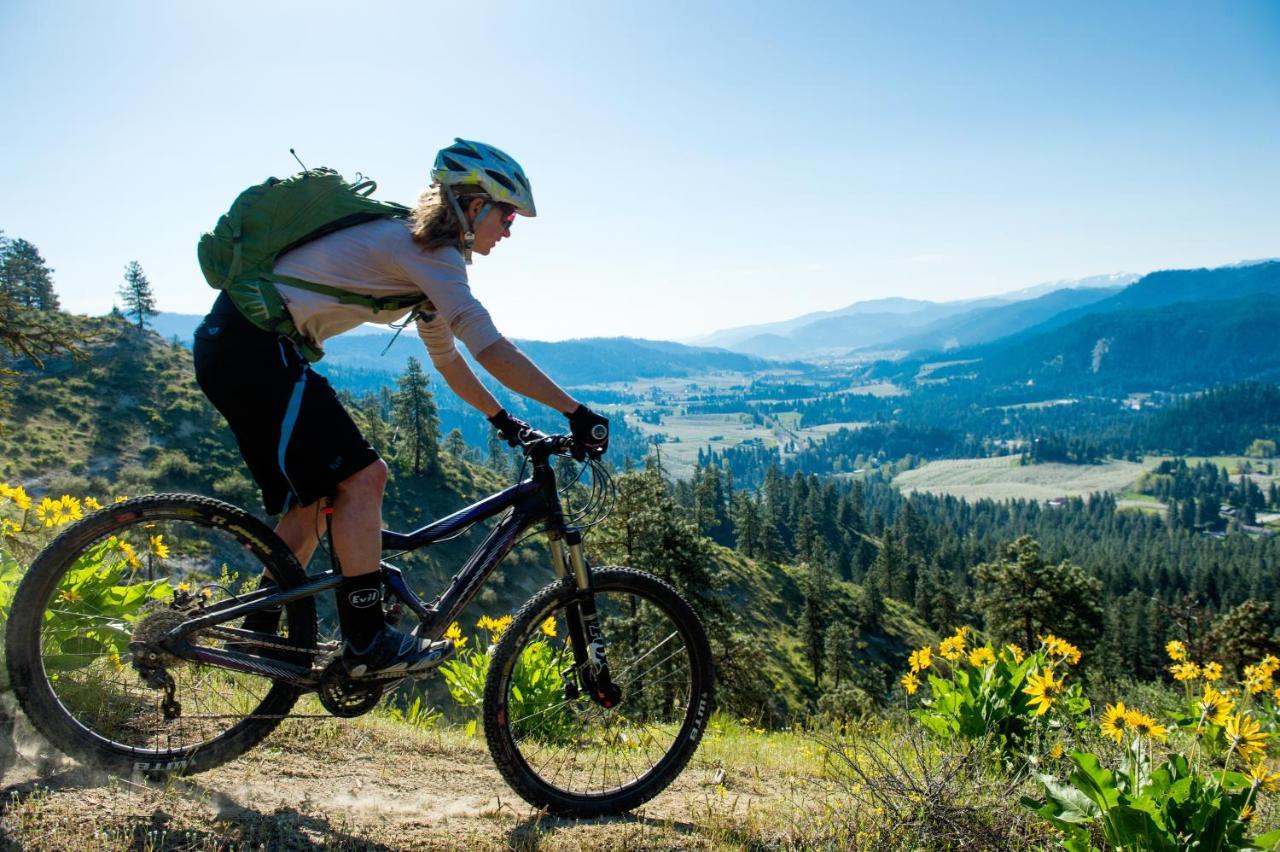 Journey's End On Fish By Nw Comfy Holiday home Leavenworth
