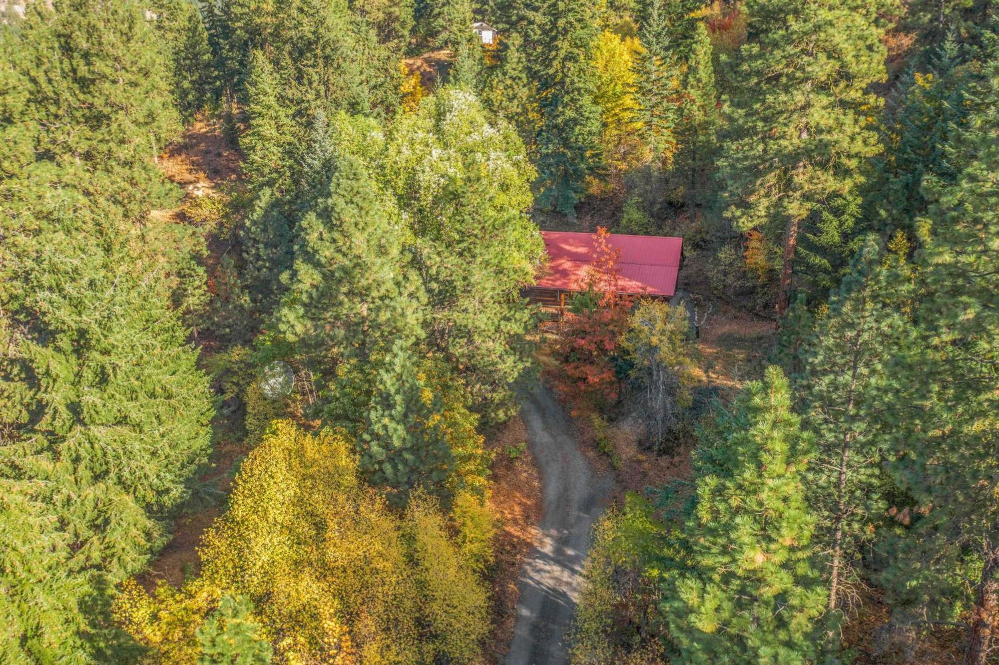 Bear Ridge Cabin