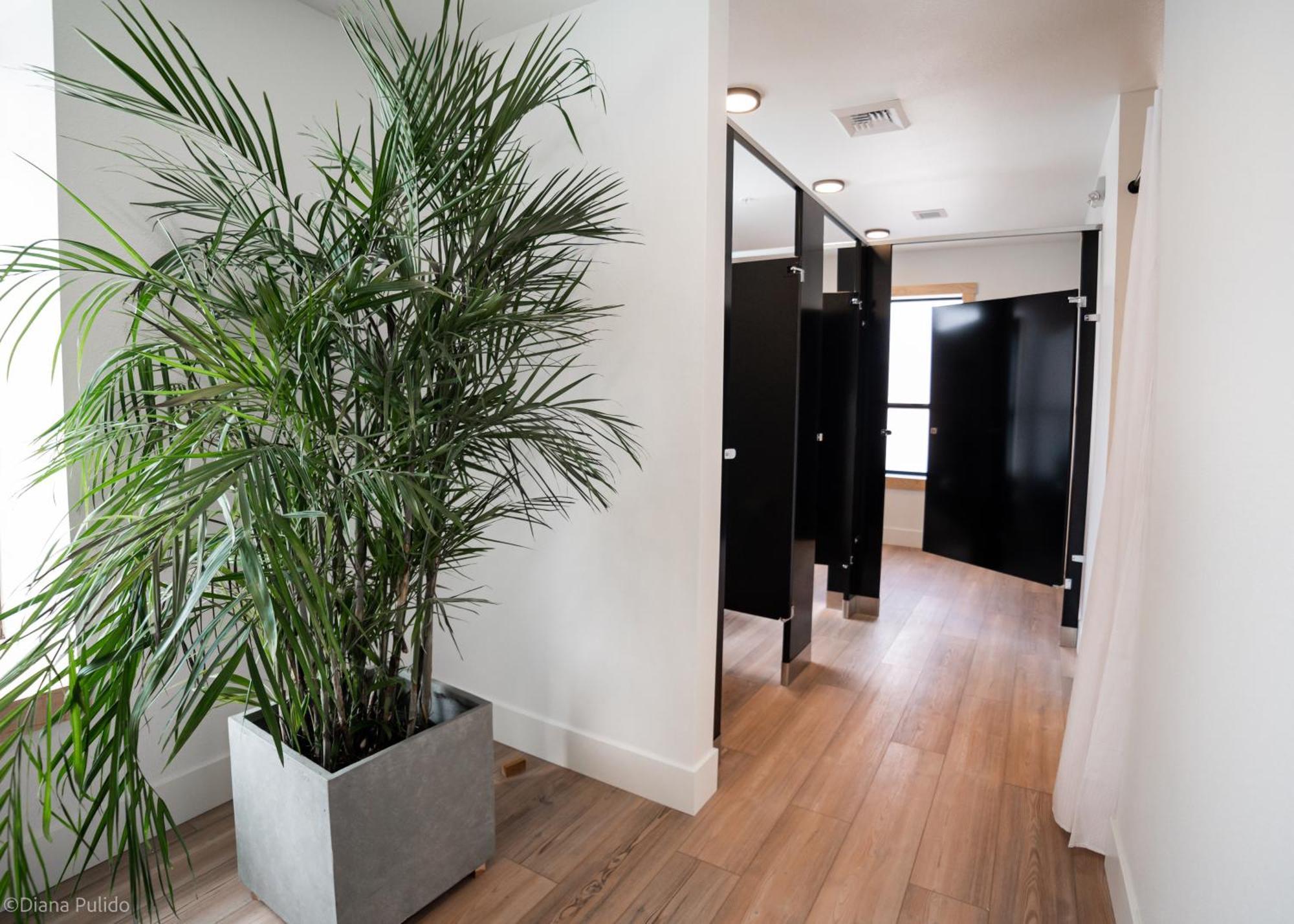 Loge Hotel
