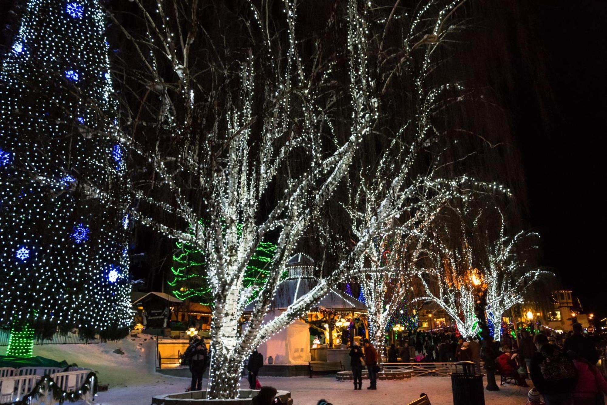 Aspen 505 & 506: Downtown Duo Apartment Leavenworth