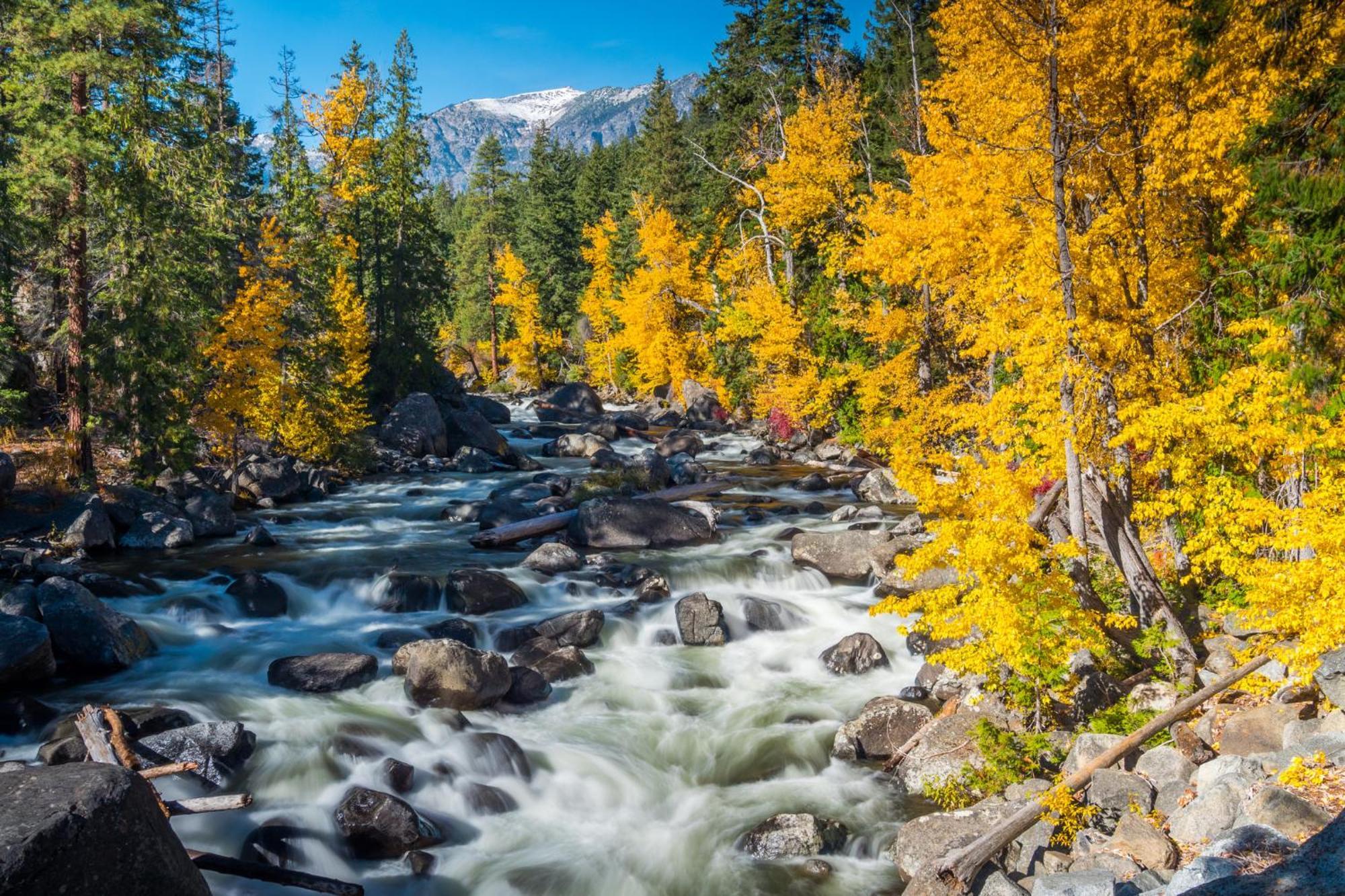 Riverfront Near Skiing, Lakes, Mtns & Chalet