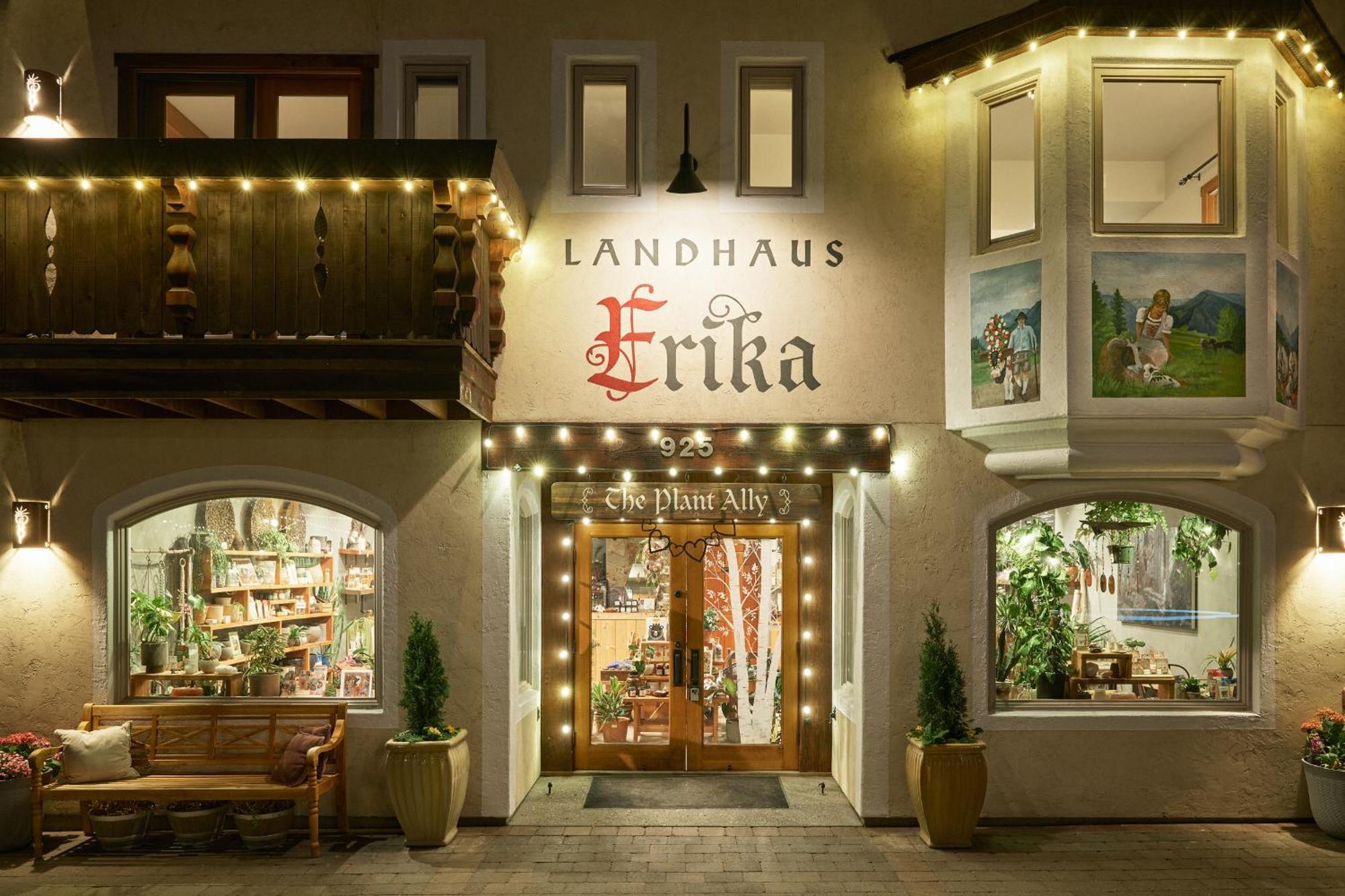 Hotel Erika