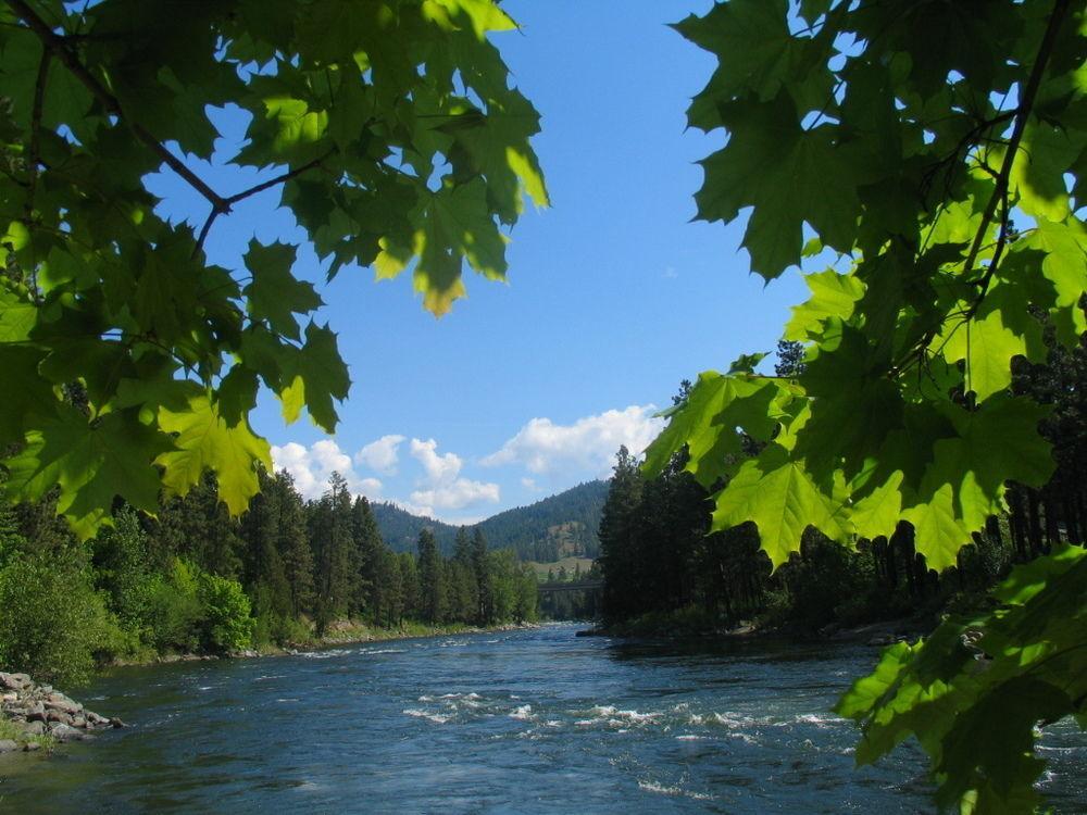 Inn Alpine Rivers 3*