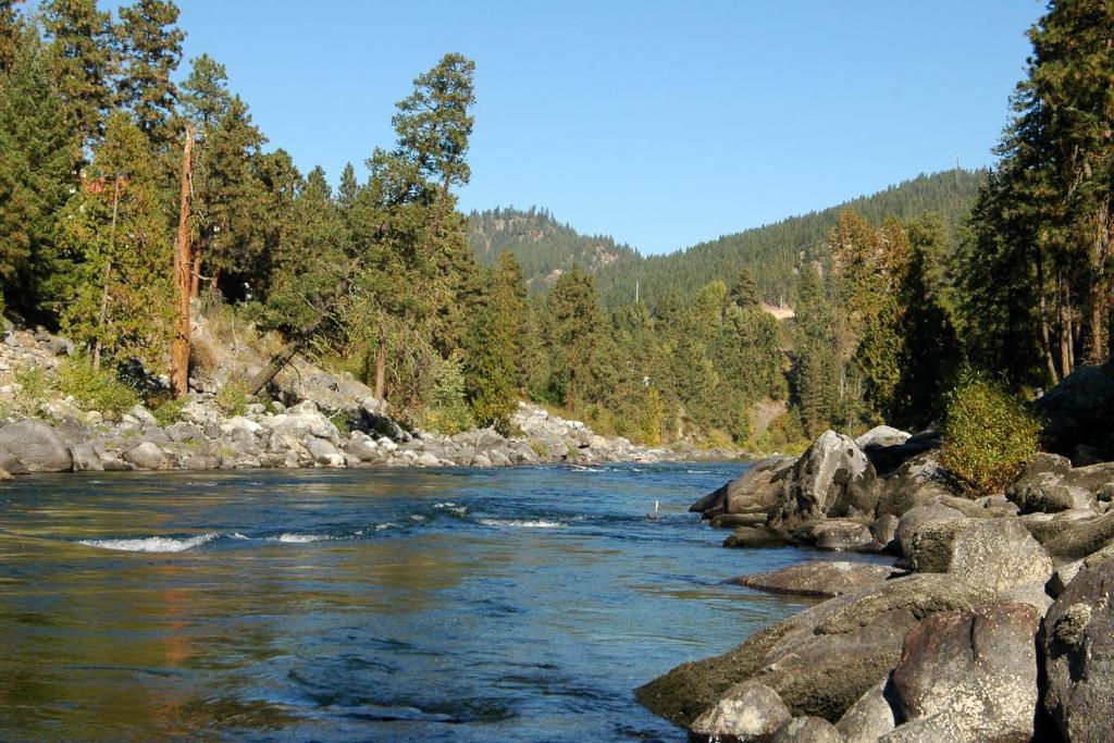 Inn Alpine Rivers 3*