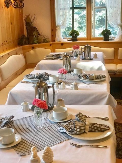 Abendblume (adults Only)