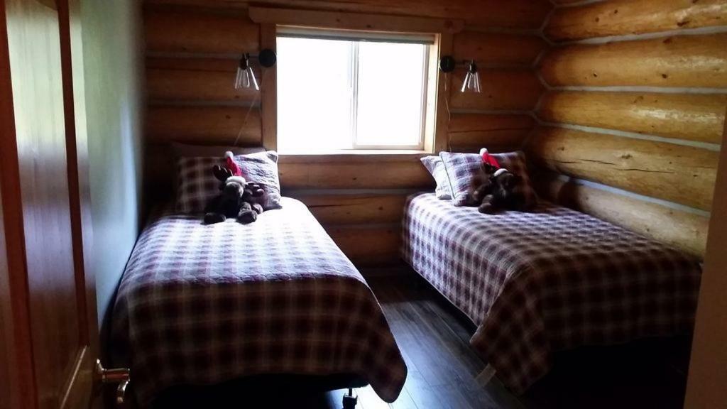 Dancing Bear Holiday home