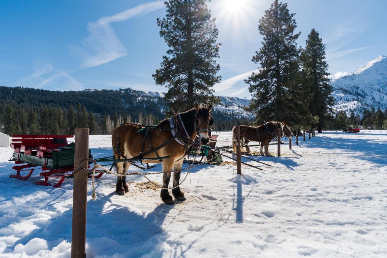 Icicle Village 508: Alpine Aurora Holiday home Leavenworth