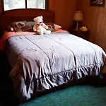 Alpine Thyme Cabin