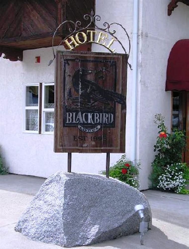 Inn The Blackbird